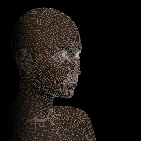 Conceptual wireframe human — Stock Photo, Image
