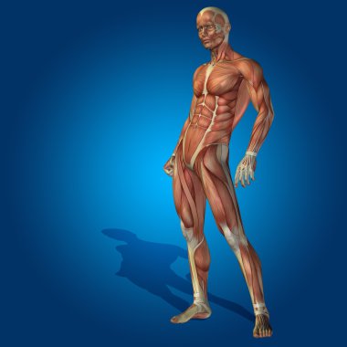 kavramsal stong insan