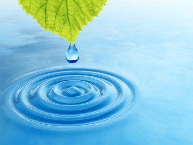 yeşil bir yaprak düşüyor bırak