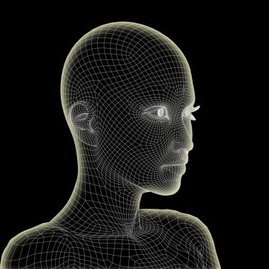 Tel, kavramsal çerçeve insan