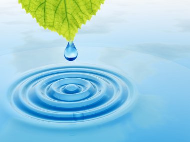 taze yaprak düşüyor bırak