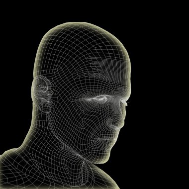 Tel, kavramsal çerçeve insan