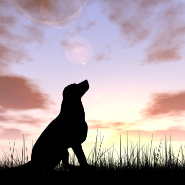 sevimli köpek siluet