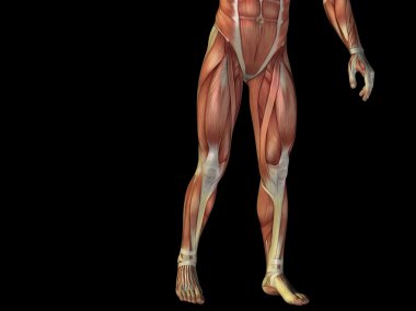 kavramsal stong insan