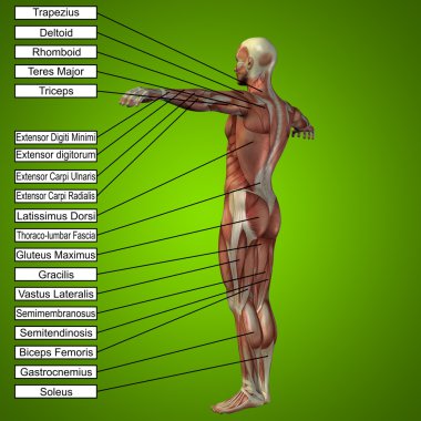 adam kasları ve metin