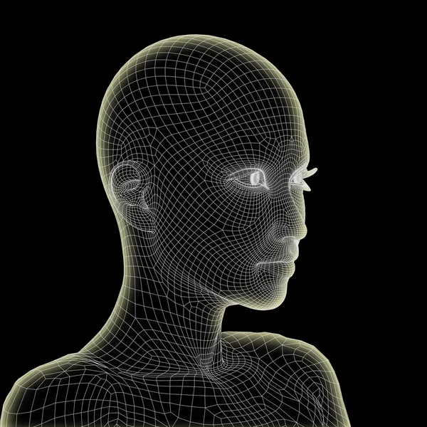 Tel, kavramsal çerçeve insan