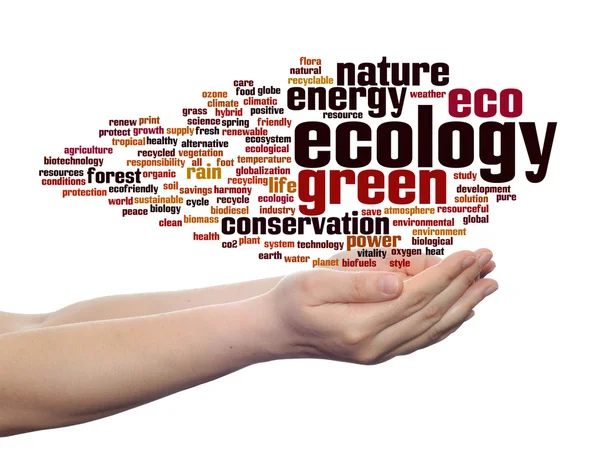 Conservation word cloud — Stock Photo, Image