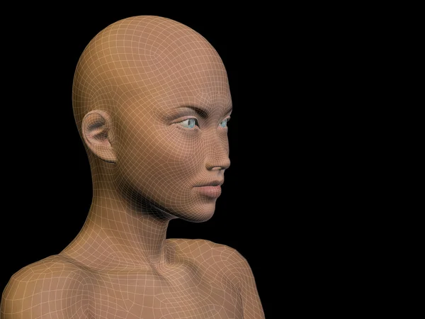 Lidská hlava z drátového modelu — Stock fotografie