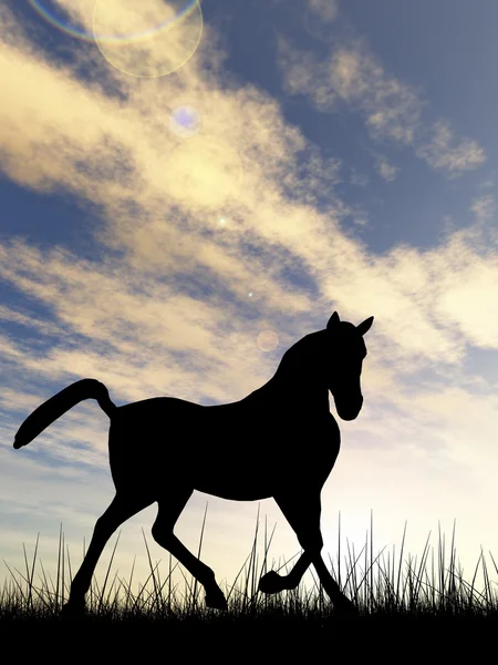 Sílhueta de cavalo preto — Fotografia de Stock