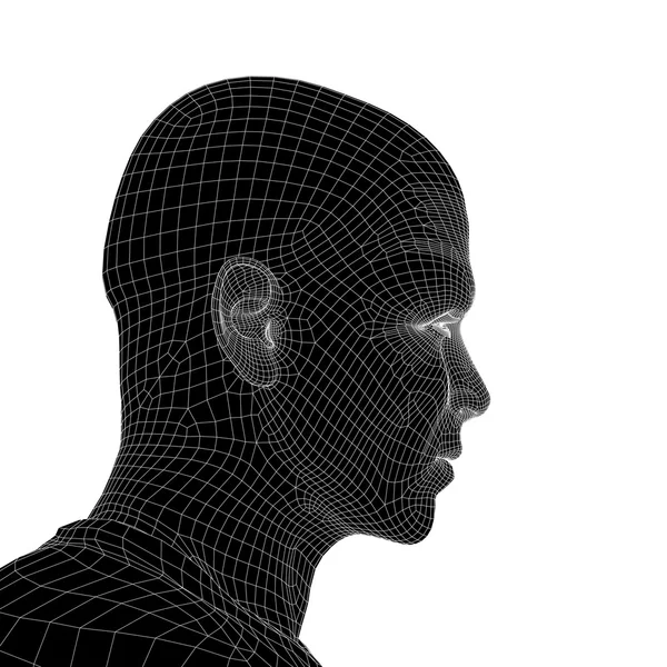 Conceptual wireframe joven humano — Foto de Stock