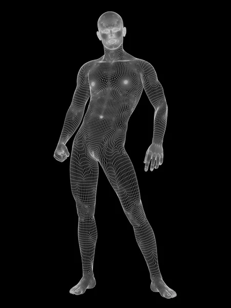 Malemade of white wireframe — Stock Photo, Image