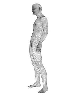 Anatomi için kaslı adam