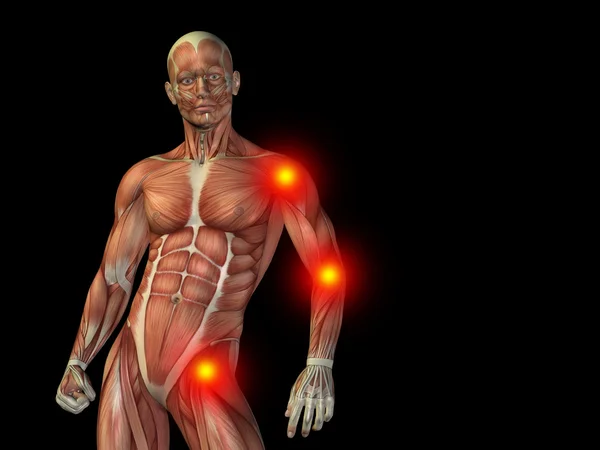 Muž anatomie horní těla nebo zdraví design — Stock fotografie