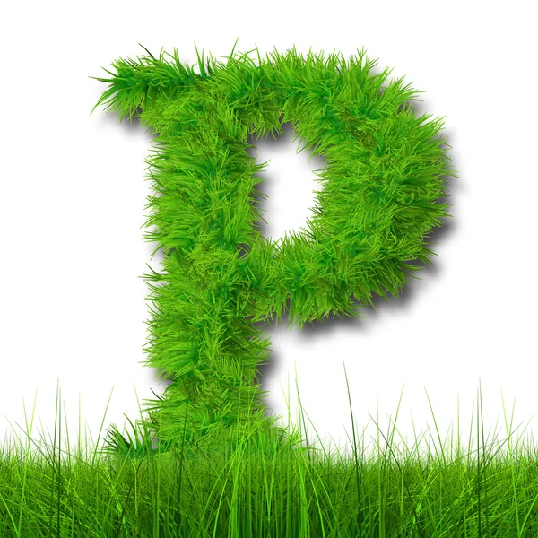 Green grass ecology font — Stock Photo, Image