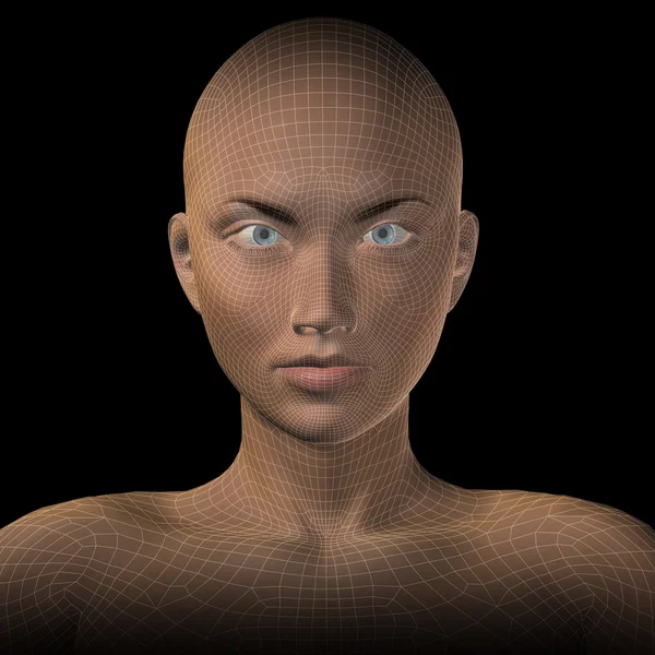 概念の 3 d ワイヤー フレームの女性の頭 — ストック写真