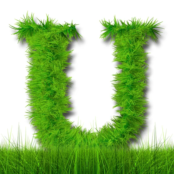 Green grass ecology font — Stock Photo, Image