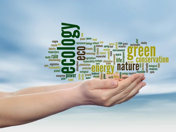 Ecologie, instandhouding word cloud — Stockfoto