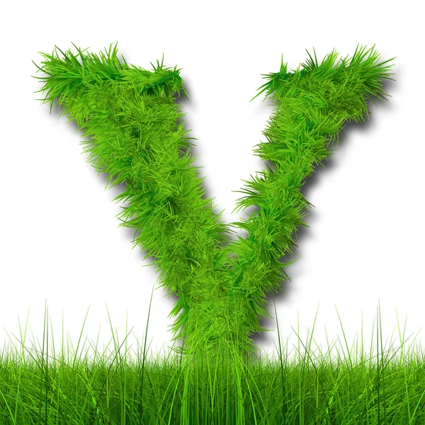 Зеленый травяной шрифт — стоковое фото