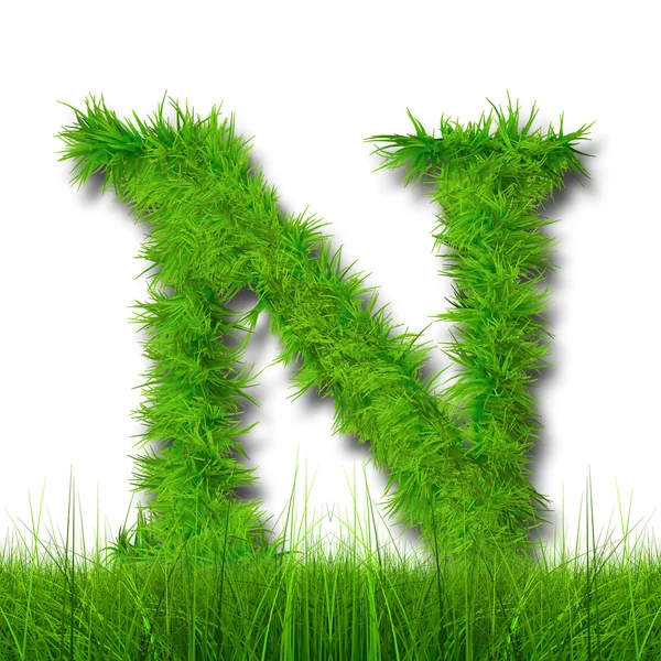 Green grass ecology font — Stock Photo, Image