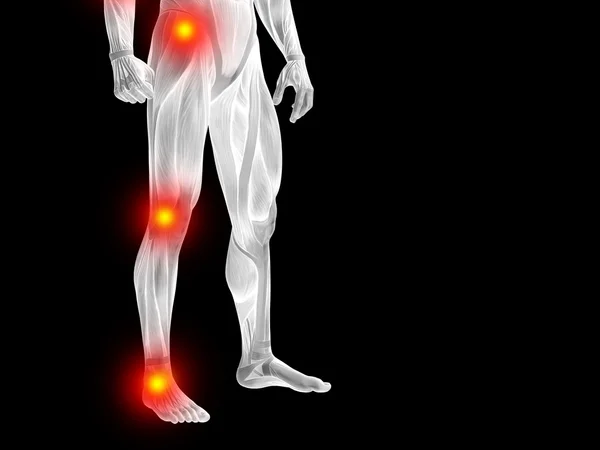 Anatomia do homem 3D corpo inferior ou design de saúde — Fotografia de Stock