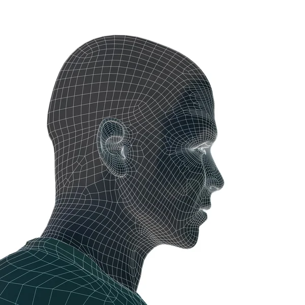 3D wireframe jovem rosto homem humano — Fotografia de Stock