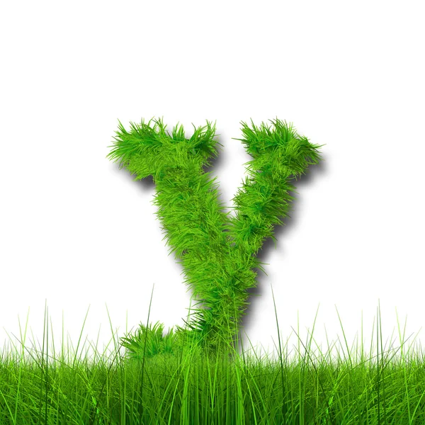 Concept or conceptual green grass — Stock Photo, Image