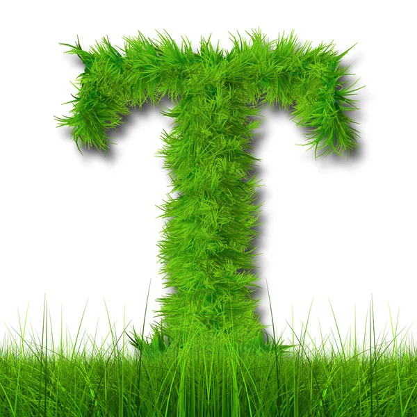 Green grass ecology font — Stock Photo, Image