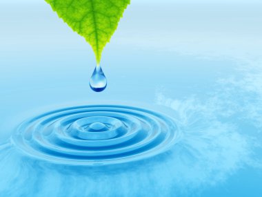 taze yaprak yeşil düşen bırak