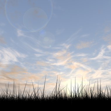 kavramsal siyah çimen