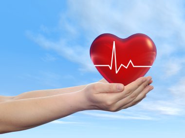 İnsan erkek ya da kadın ellerinde düzenlenen kırmızı insan kalp işareti