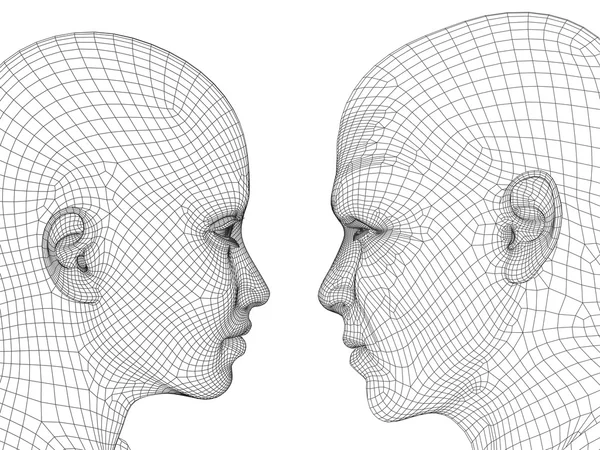 Wireframe menselijke mannelijke of vrouwelijke hoofden — Stockfoto