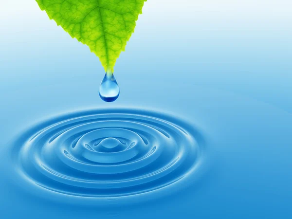 Drop falling from a green fresh leaf — Stock Photo, Image