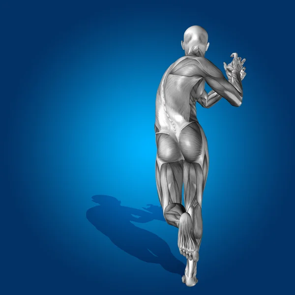 Corpo de anatomia humano ou homem 3D com músculo para a saúde — Fotografia de Stock