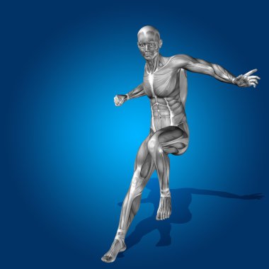 kavramsal stong insan