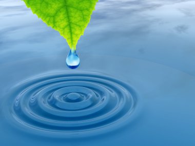 yeşil bir yaprak düşüyor bırak