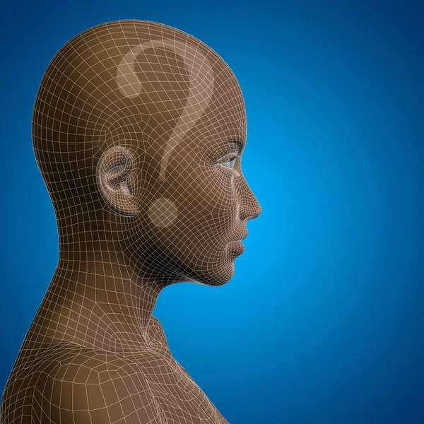 Conceptual wireframe humano — Foto de Stock