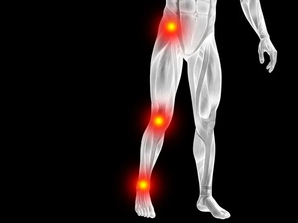 Kavramsal insan anatomisi — Stok fotoğraf