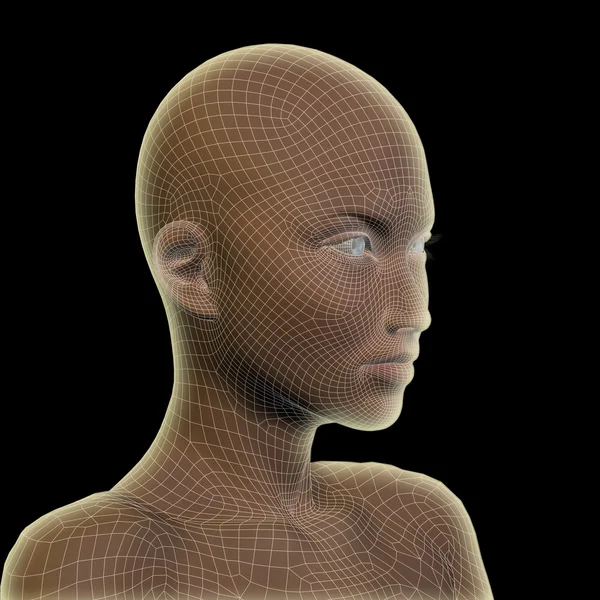 Wireframe cabeça feminina humana — Fotografia de Stock