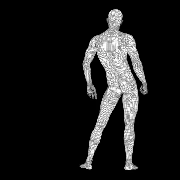 Male made of white wireframe — Stock Photo, Image