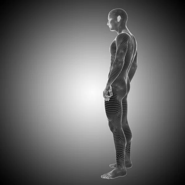 Kavramsal adam anatomisi — Stok fotoğraf