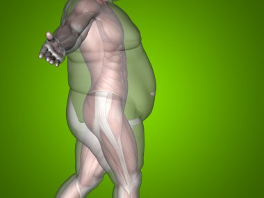 vs ince genç adam kilolu