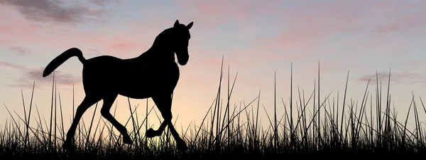 Sílhueta de cavalo preto — Fotografia de Stock