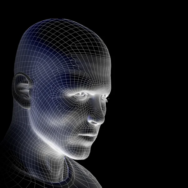 Conceptual  wireframe human head — 스톡 사진