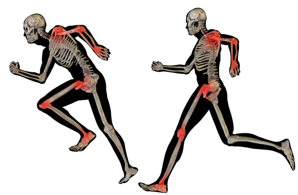 Mięśnie na anatomii wzory — Zdjęcie stockowe