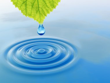 rop bir yeşil taze yaprak düşüyor