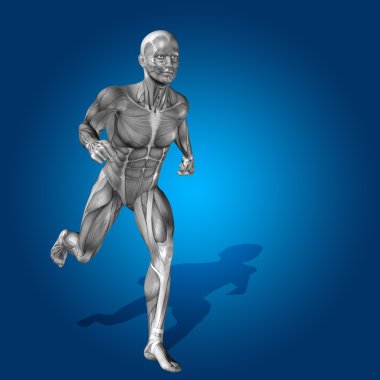 kavramsal stong insan