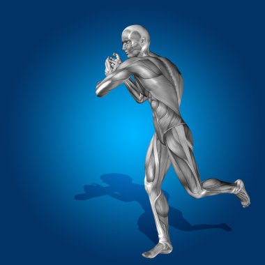 Kavram ya da kavramsal stong insan