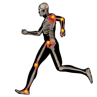 Kavramsal insan anatomisi