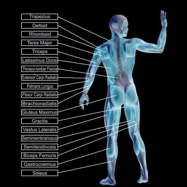 adam kasları ve metin