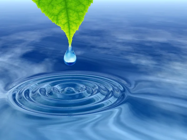 Gota de agua o rocío conceptual que cae de una hoja verde fresca sobre un agua azul clara haciendo olas — Foto de Stock